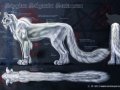 stian_charactersheet_version_2013_by_blackmystica-d6lou9s.jpg